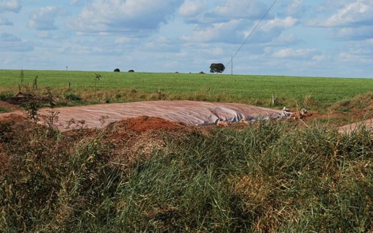 FAZENDA À VENDA EM FIGUEIRÃO / MS - foto 2