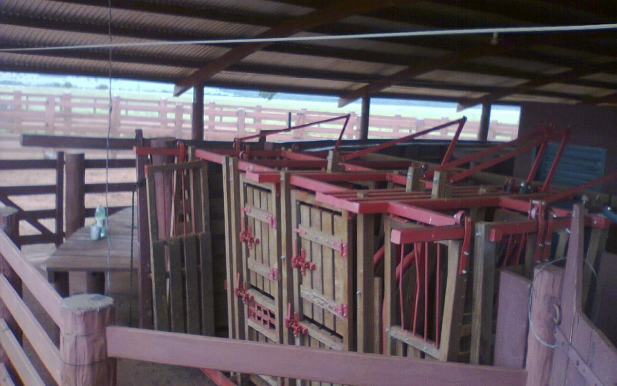 FAZENDA À VENDA EM FIGUEIRÃO / MS - foto 11