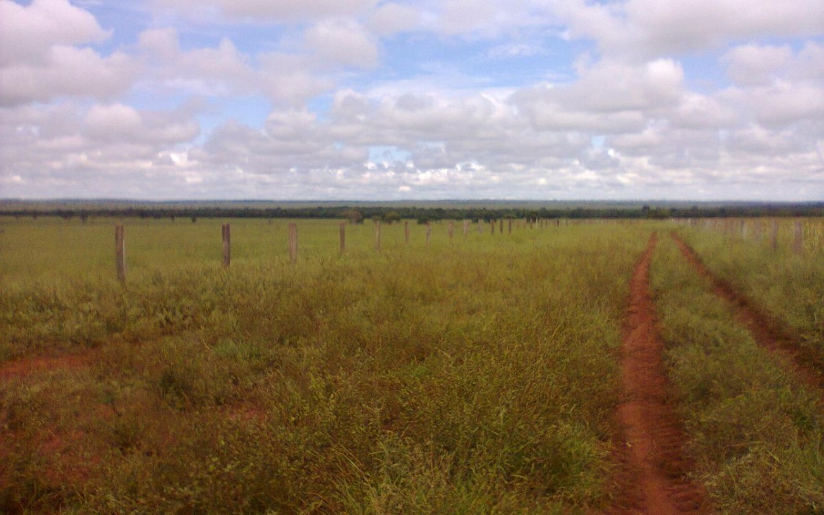 FAZENDA À VENDA EM FIGUEIRÃO / MS - foto 12