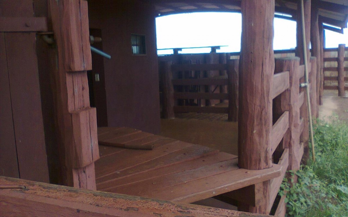 FAZENDA À VENDA EM FIGUEIRÃO / MS - foto 13