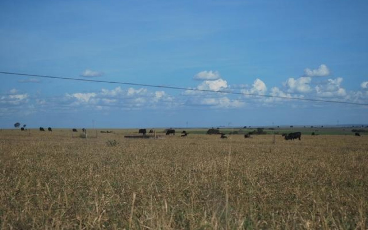 FAZENDA À VENDA EM FIGUEIRÃO / MS - foto 15