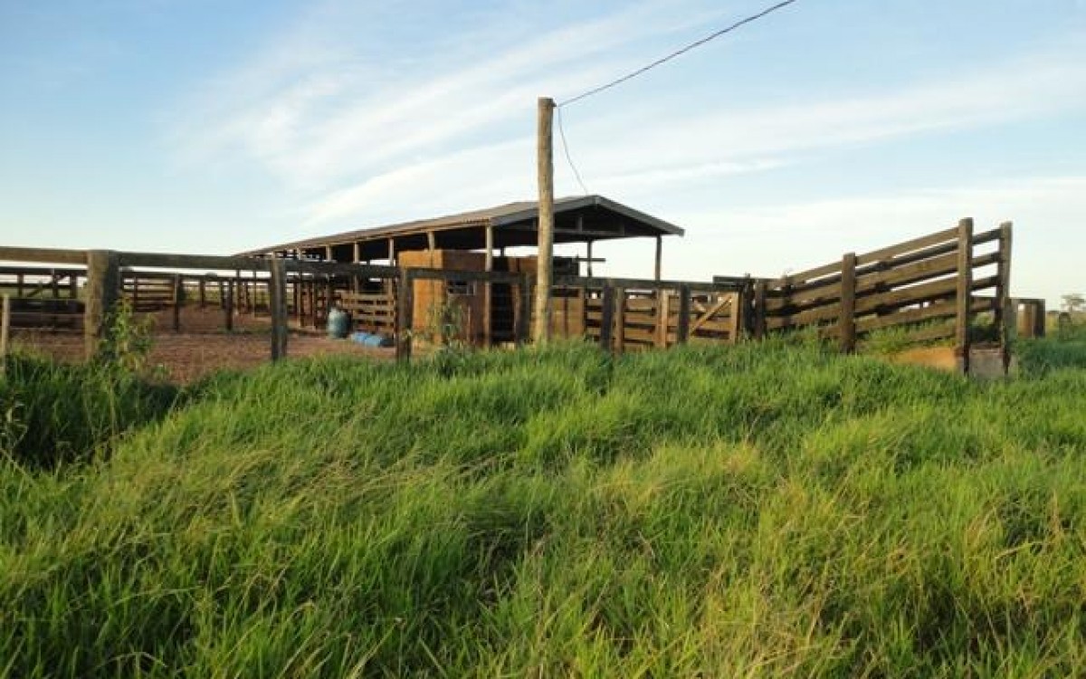 FAZENDA À VENDA EM FIGUEIRÃO / MS - foto 16