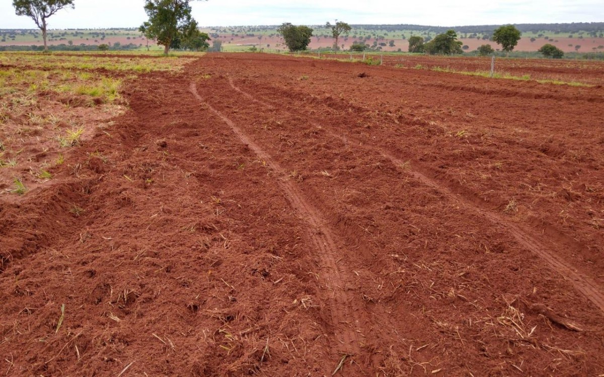 FAZENDA À VENDA EM FIGUEIRÃO / MS - foto 17