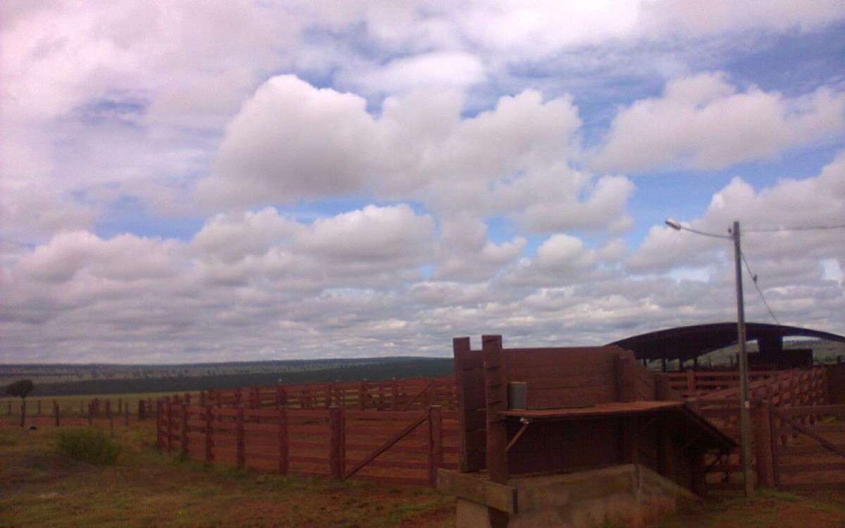 FAZENDA À VENDA EM FIGUEIRÃO / MS - foto 5