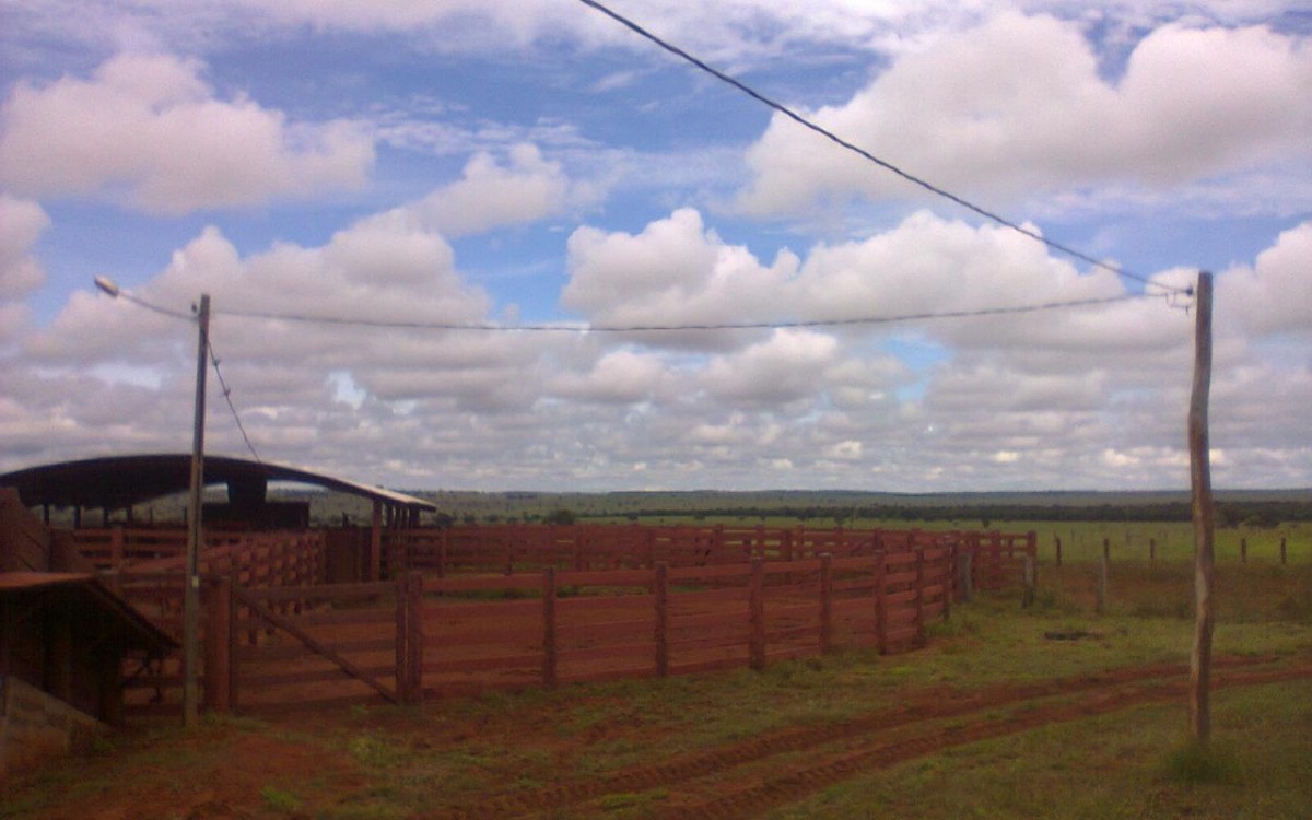 FAZENDA À VENDA EM FIGUEIRÃO / MS - foto 8