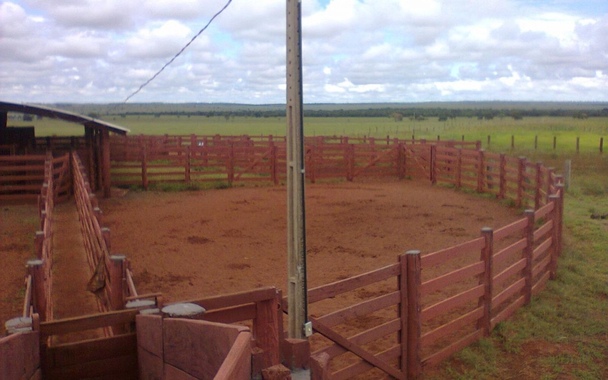 FAZENDA À VENDA EM FIGUEIRÃO / MS - foto 9
