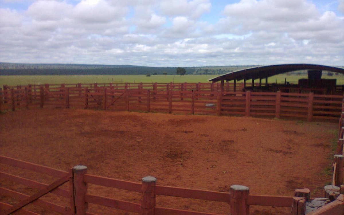 FAZENDA À VENDA EM FIGUEIRÃO / MS - foto 10