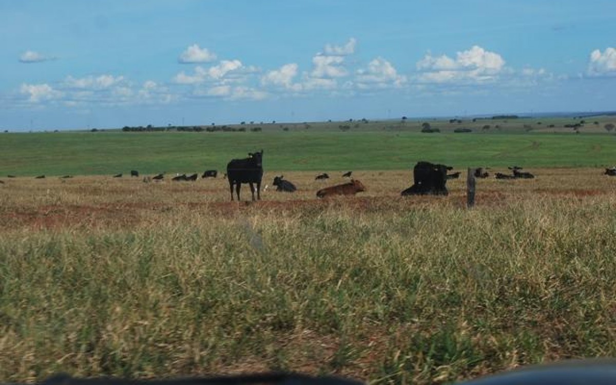 FAZENDA À VENDA EM FIGUEIRÃO / MS - foto 1