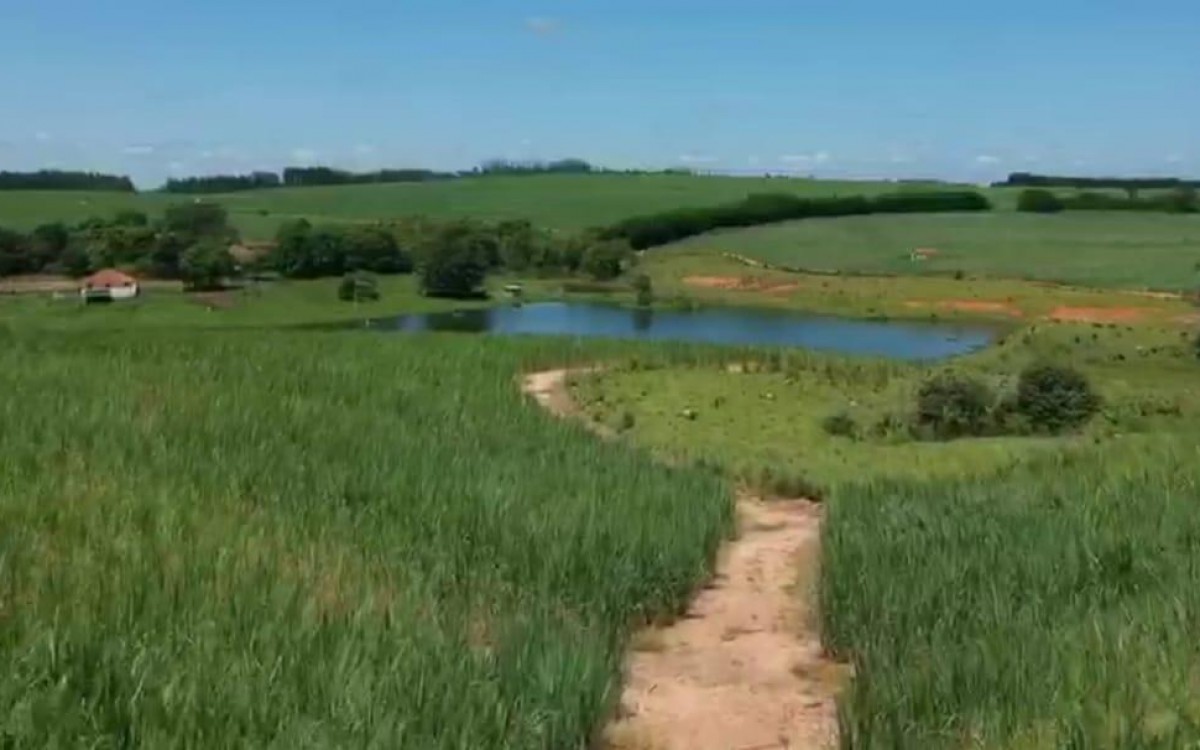 FAZENDA MOGI MIRIM - RARIDADE - OTIMA LOCALIZAÇÃO - foto 4