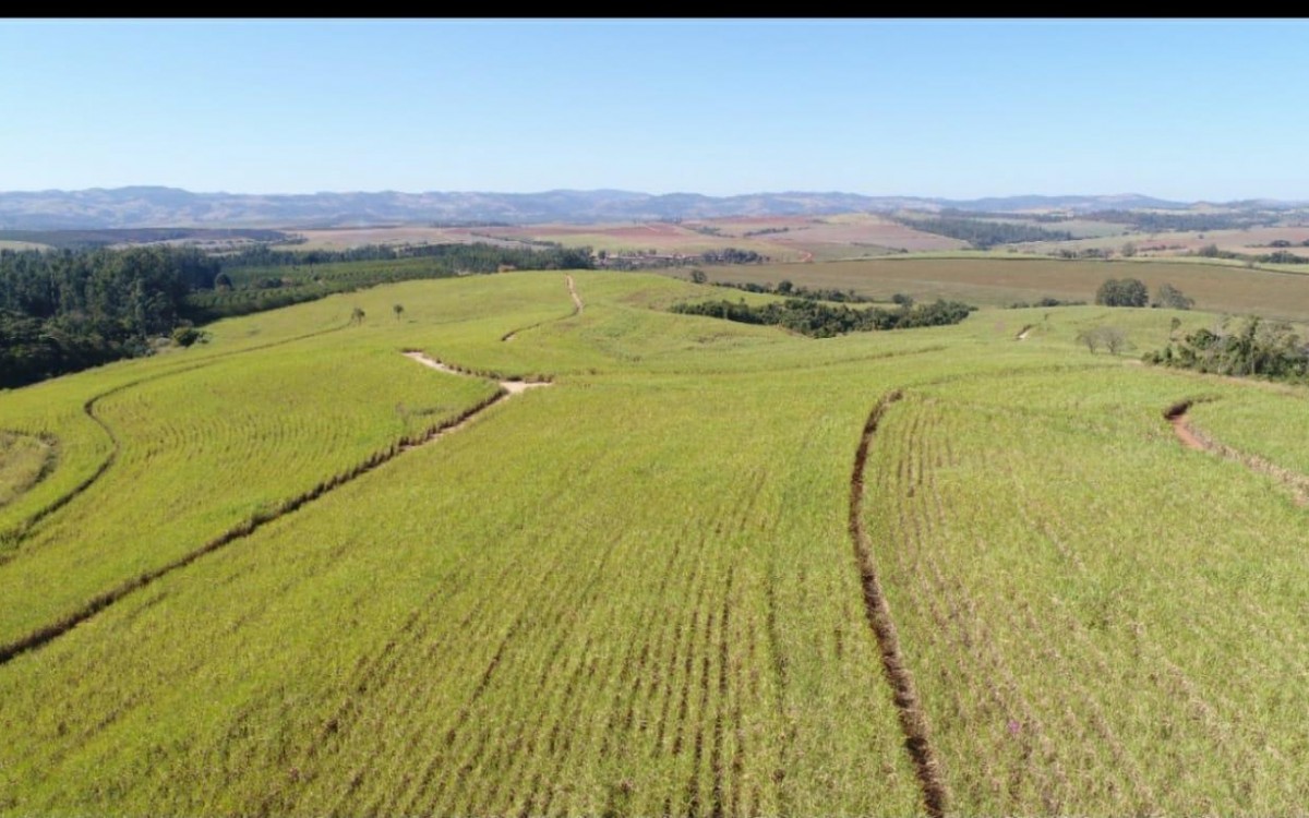 FAZENDA MOGI MIRIM - RARIDADE - OTIMA LOCALIZAÇÃO - foto 5