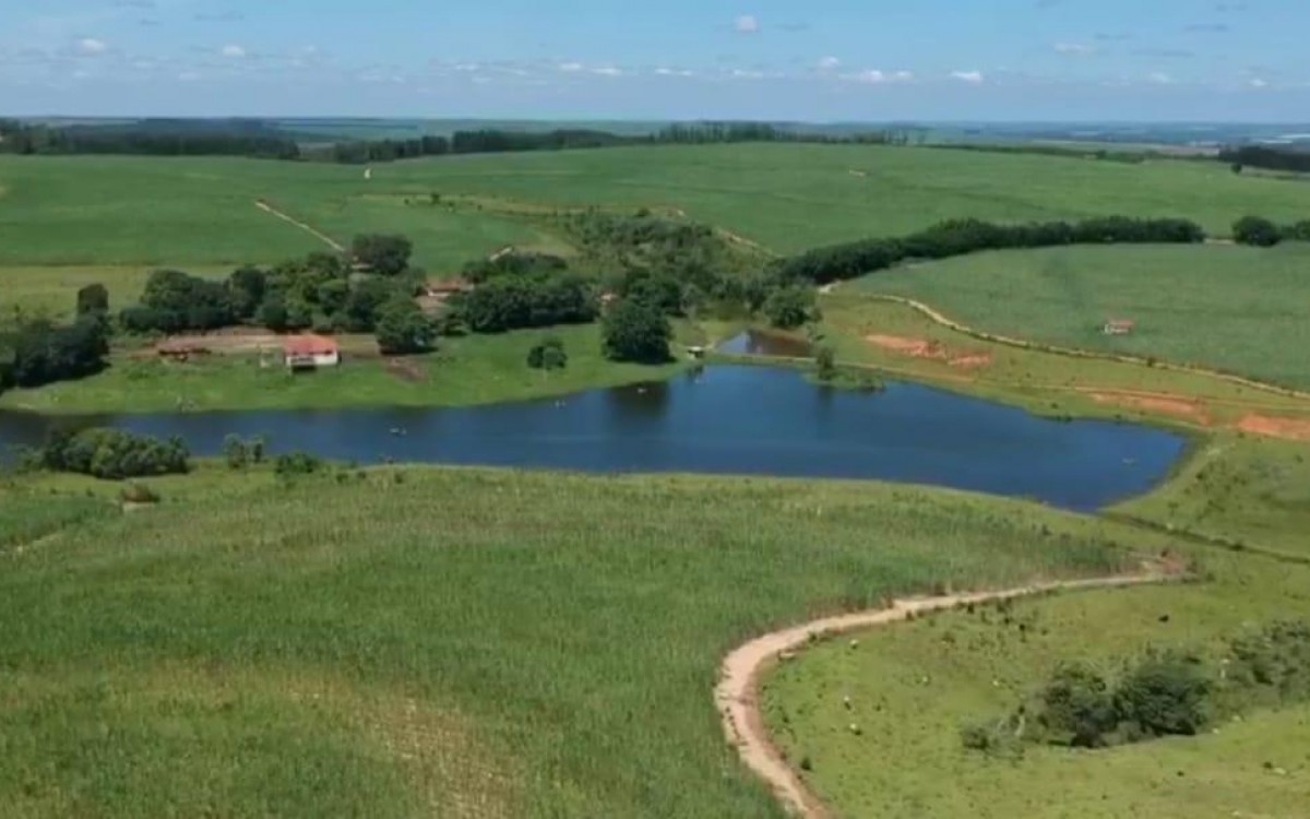 FAZENDA MOGI MIRIM - RARIDADE - OTIMA LOCALIZAÇÃO - foto 6