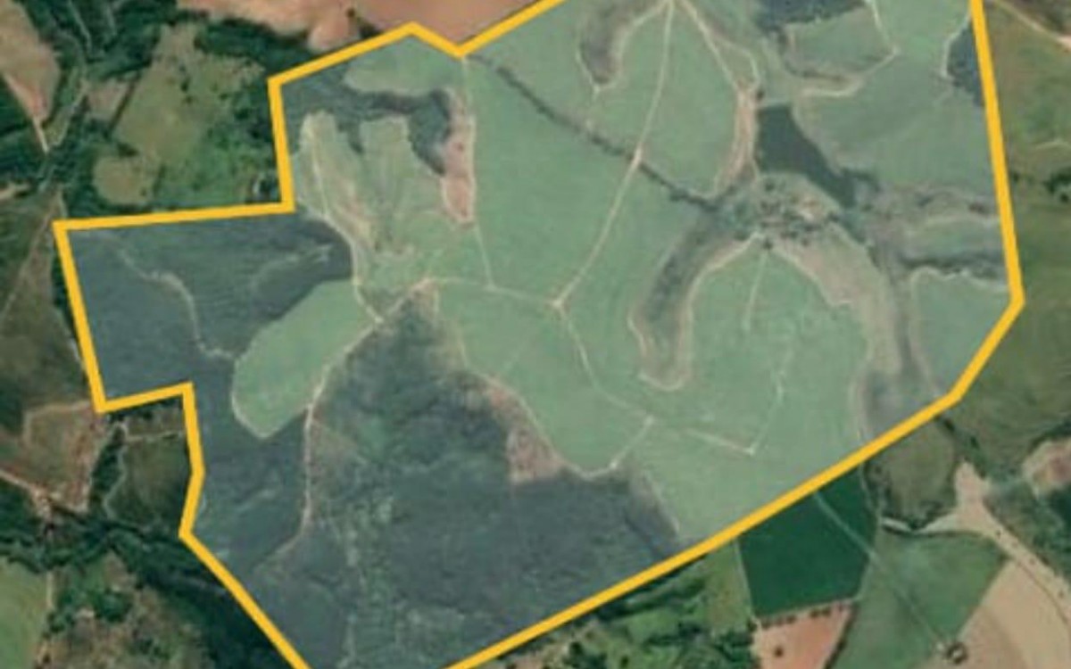 FAZENDA MOGI MIRIM - RARIDADE - OTIMA LOCALIZAÇÃO - foto 8